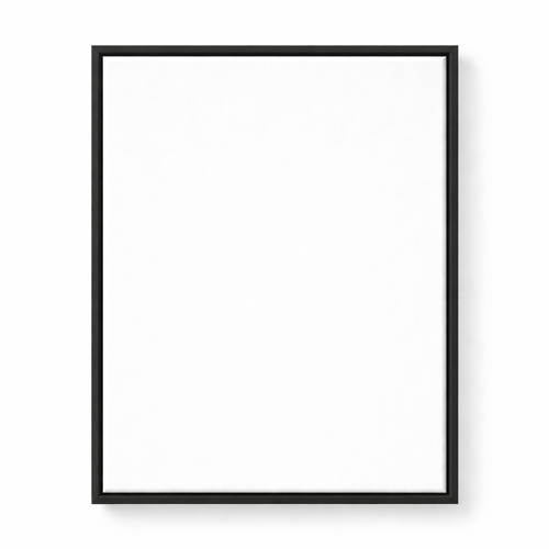 Floating Frame Canvas