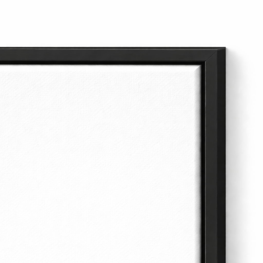 Floating Frame Canvas