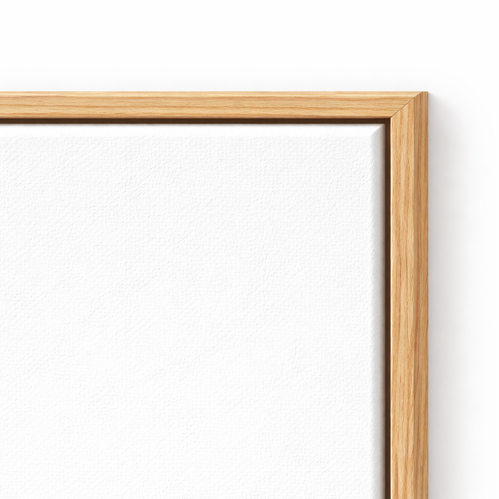 Floating Frame Canvas